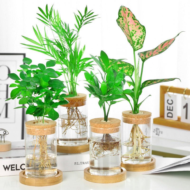 15 Unique Flower Vases for Your Home | Mavigadget - Blog